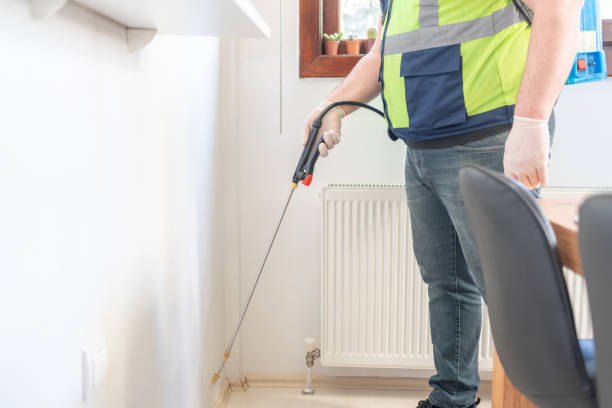 Wasp Removal Services in Rio Verde, AZ