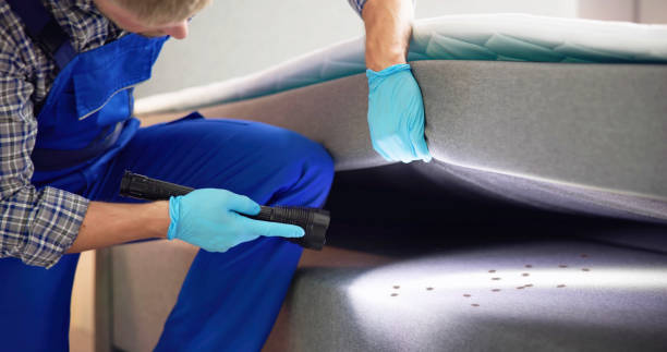 Best Local Pest Control Services  in Rio Verde, AZ