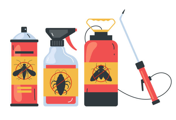 Best Termite Control Services  in Rio Verde, AZ