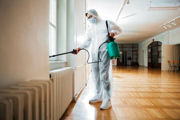 Reliable Rio Verde, AZ Pest Control Solutions